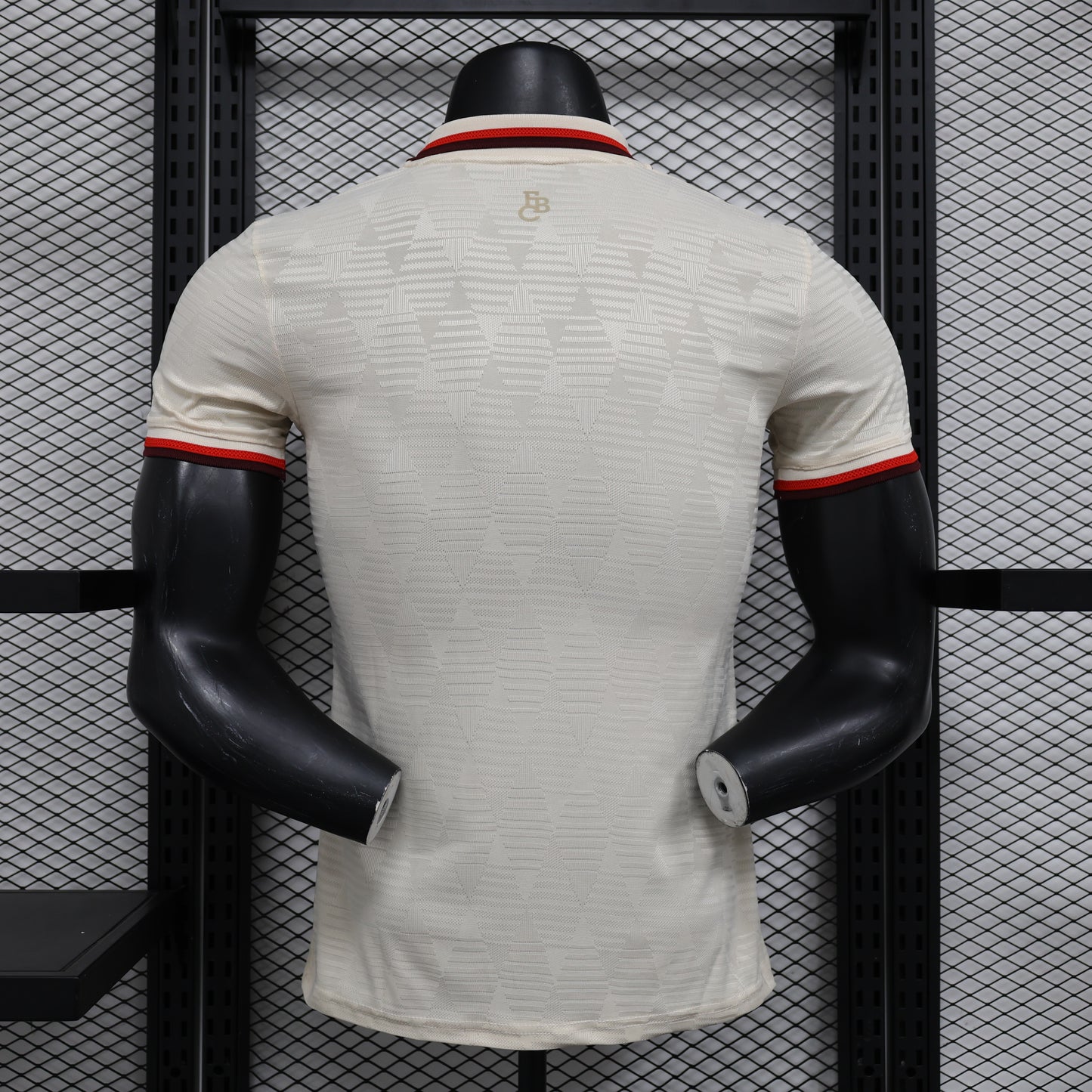 Bayern 2024/2025 Jersey