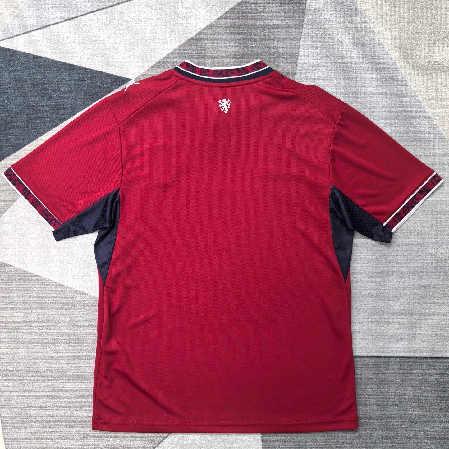 Czech 2026 Home Jersey
