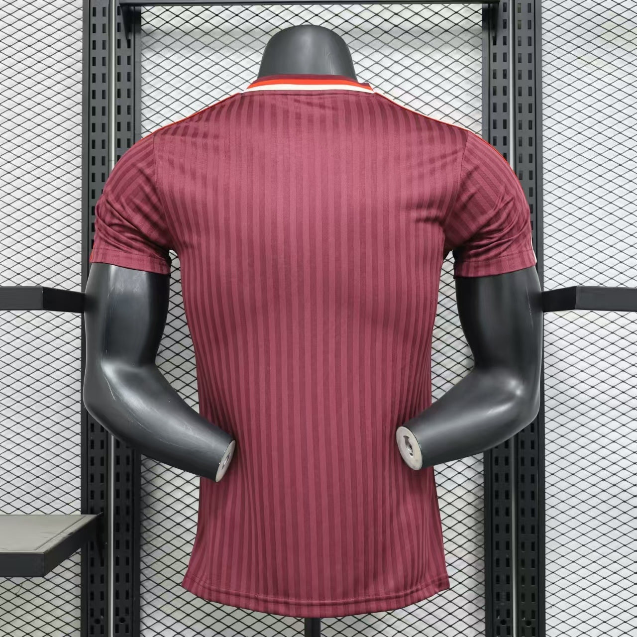 Bayern 2024/2025 Jersey