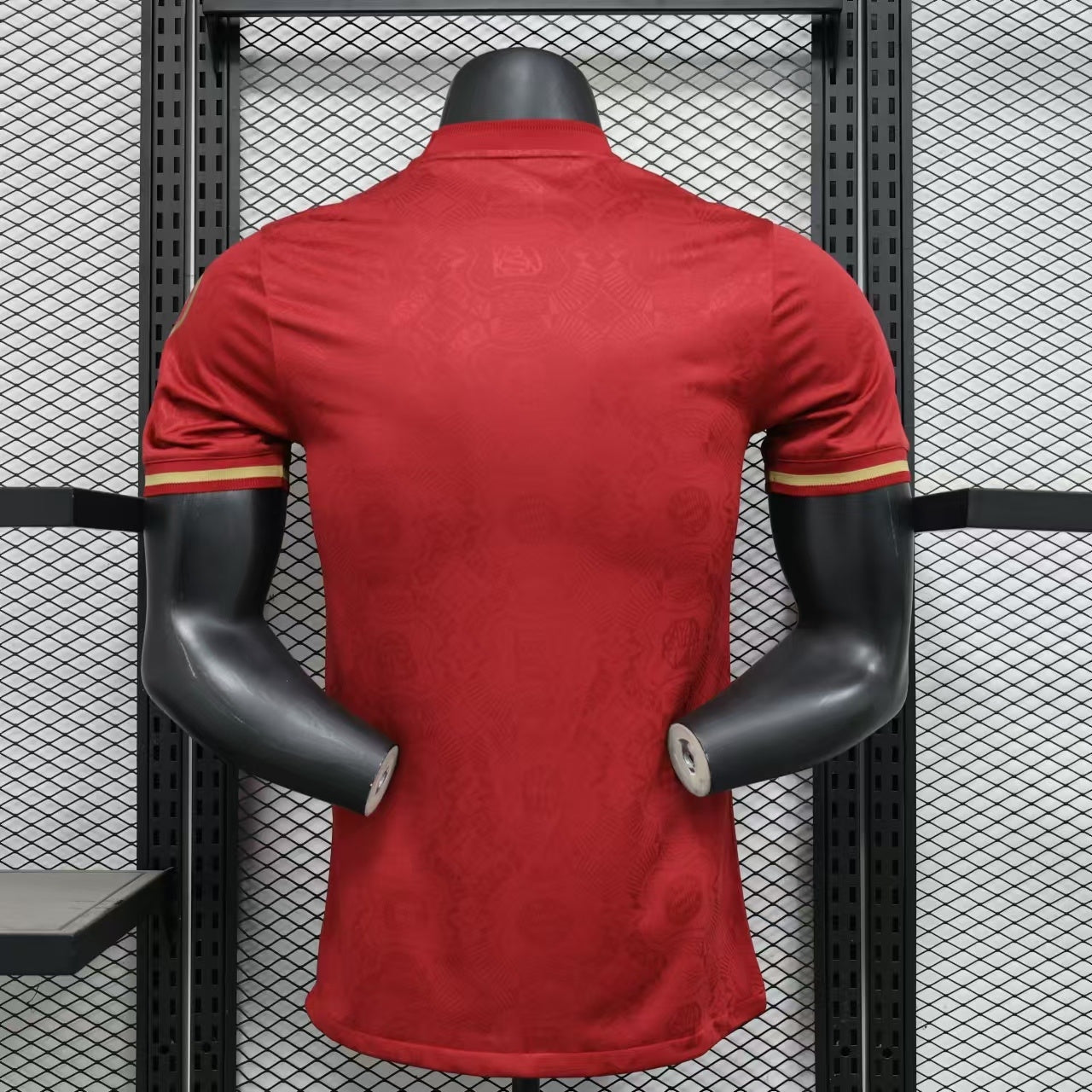 Bayern 2024/2025 Jersey