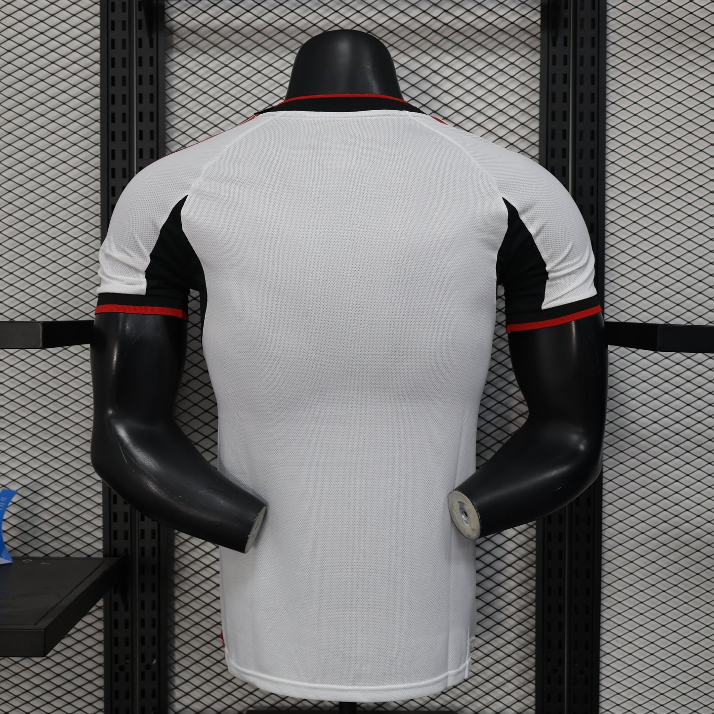 Japan 2025 Jersey