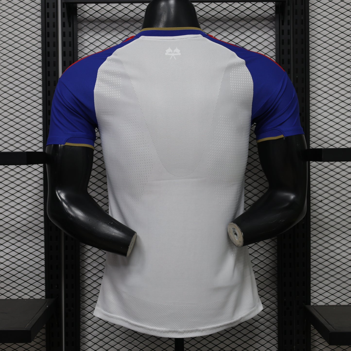 Lyon 2026/2027 Home Jersey