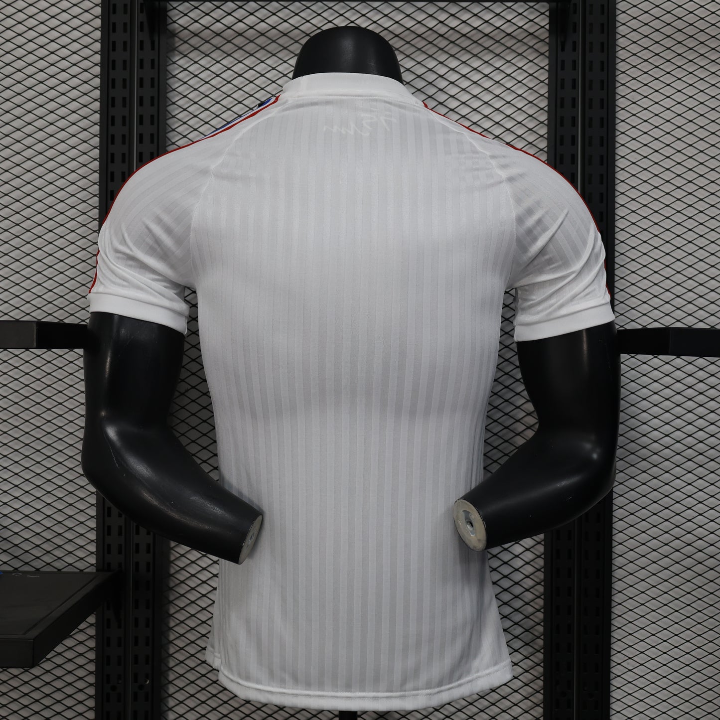 Lyon 2025/2026 Jersey