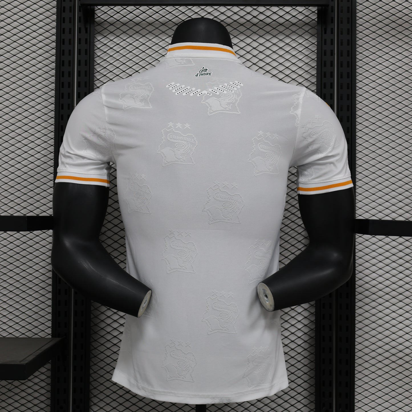 Ivory Coast 2026 Jersey