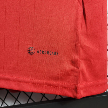 Manchester United 2022/2023 Home Jersey