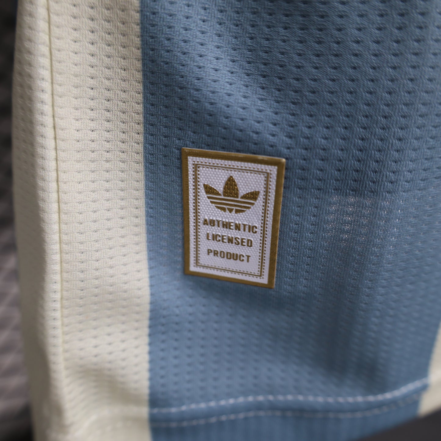 Argentina 2024 Jersey