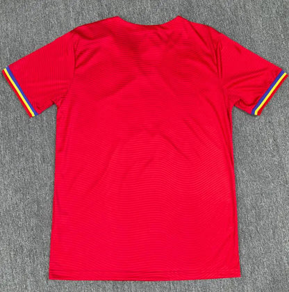 Romania 2025 Away Jersey