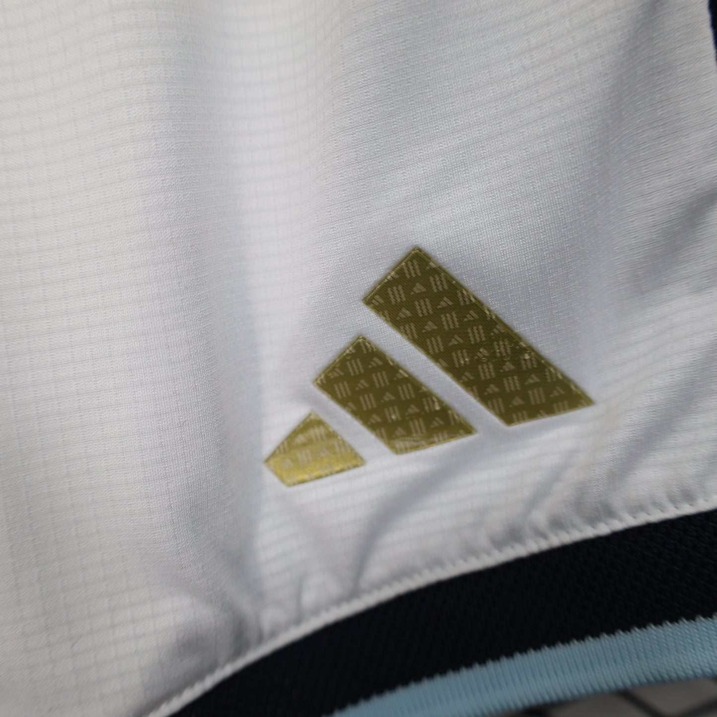 Argentina 2026 Shorts