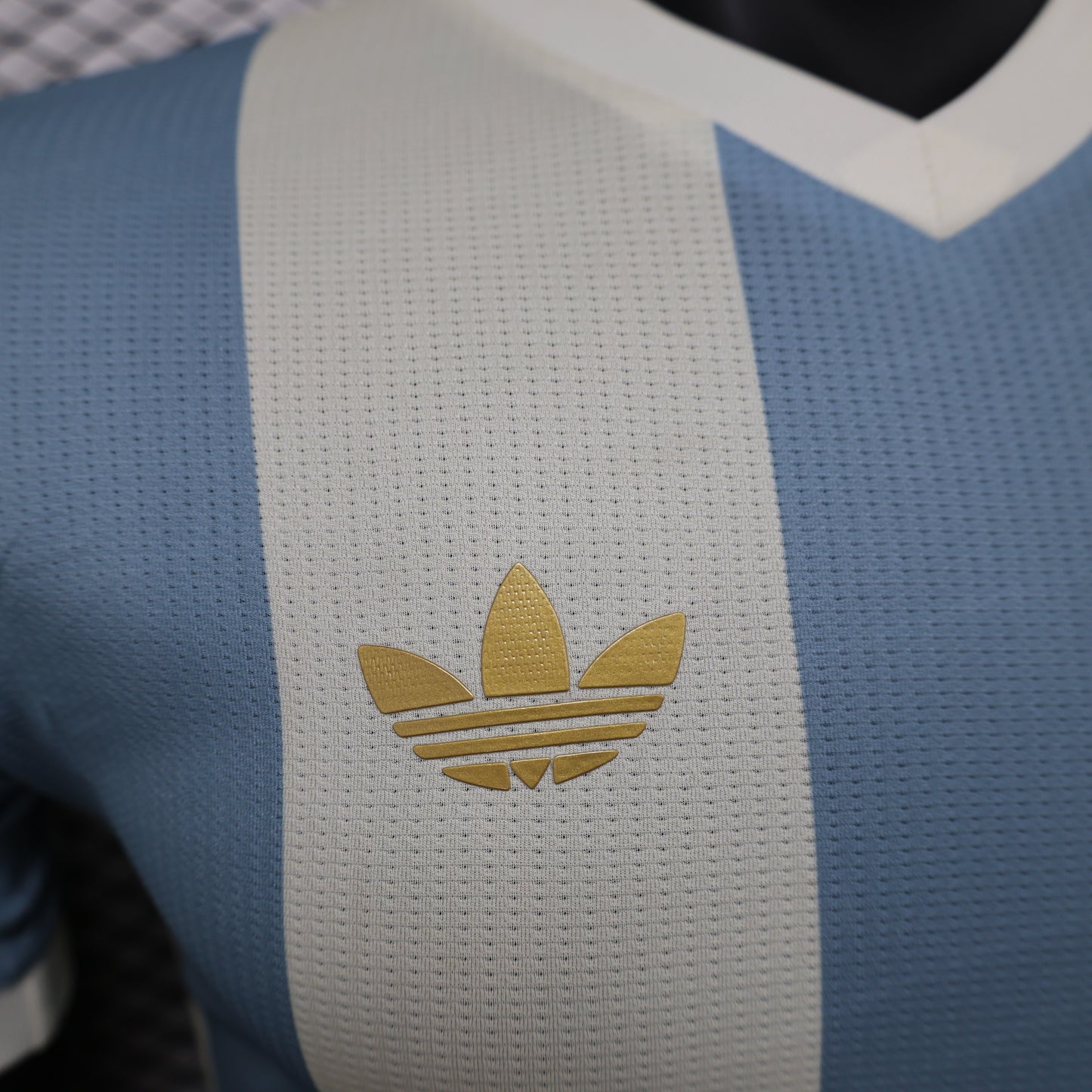 Argentina 2024 Jersey