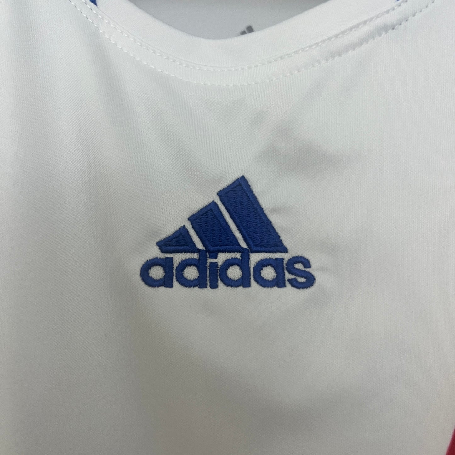 Lyon 2010/2011 Home Jersey
