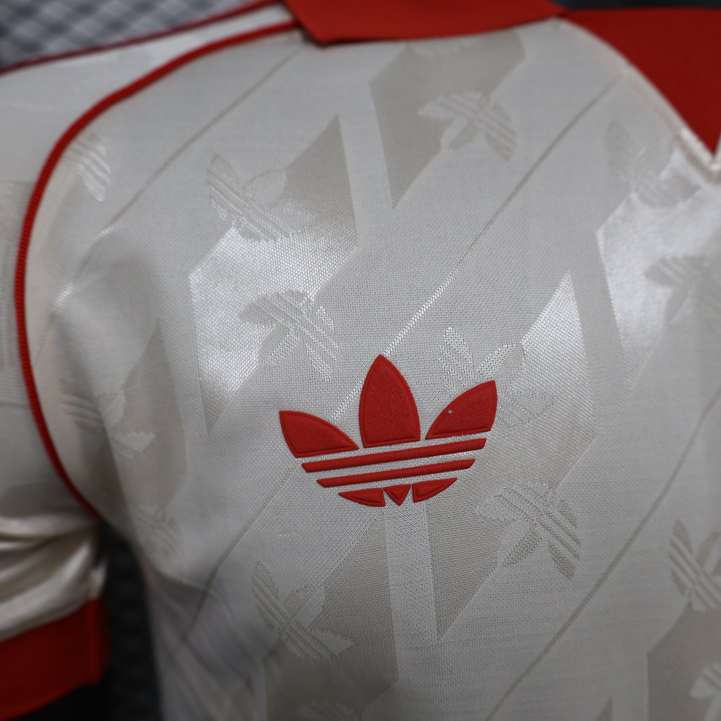 Bayern 2024/2025 Jersey