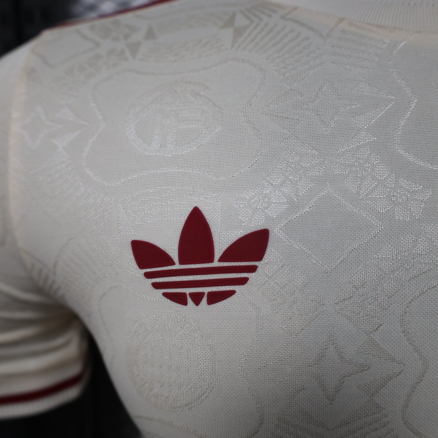 Bayern 2024/2025 Jersey