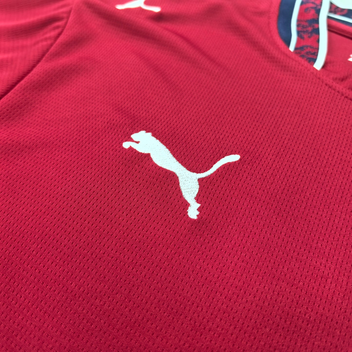Czech 2026 Home Jersey