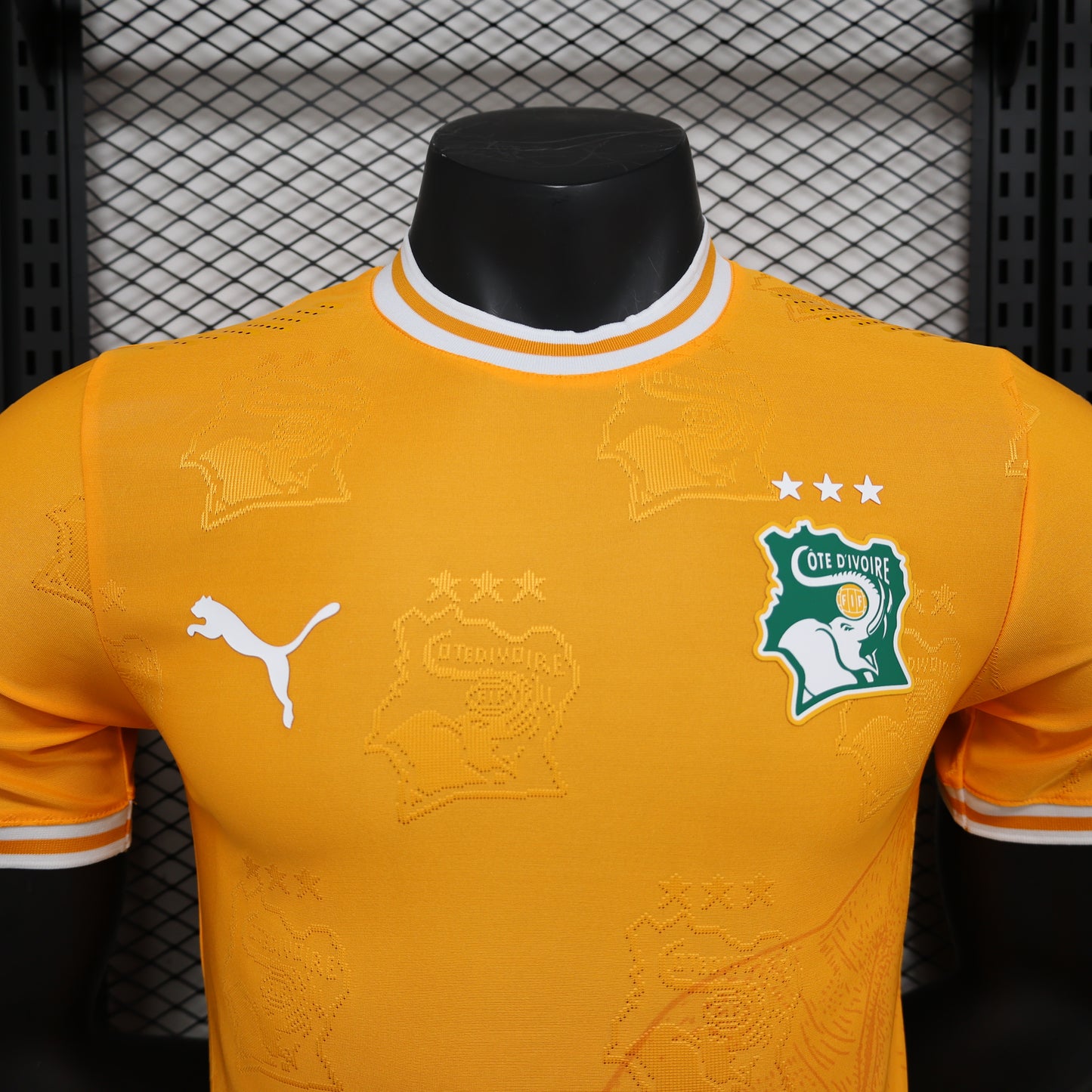 Ivory Coast 2026 Jersey