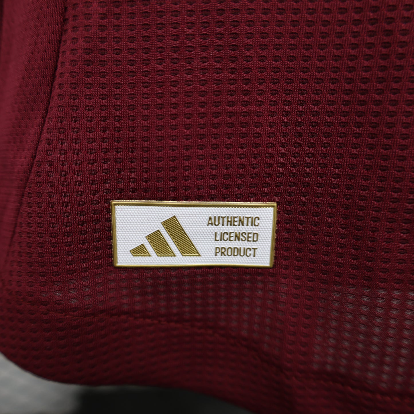 Aston Villa 2024/2025 Home Jersey