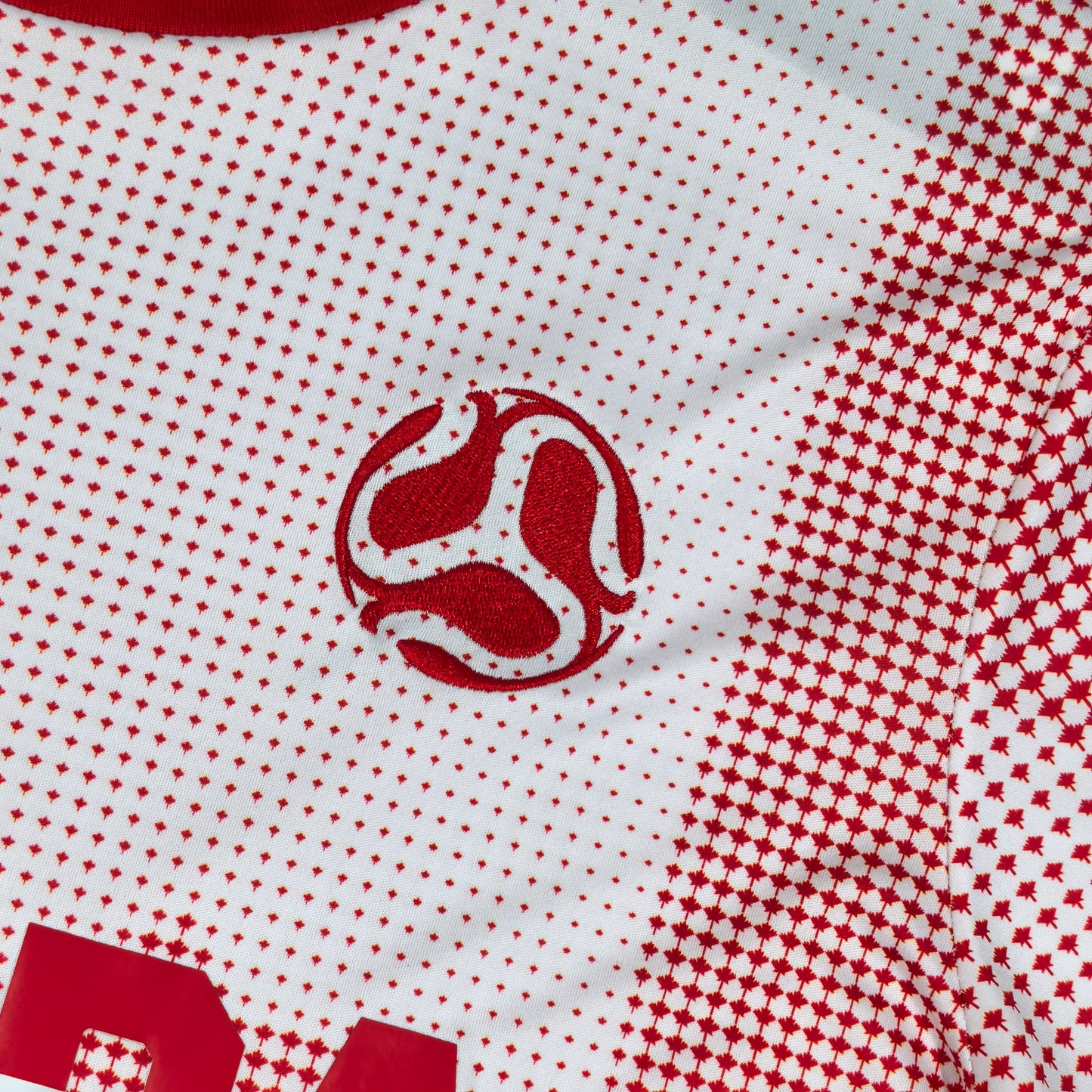 Canada 2026 Jersey