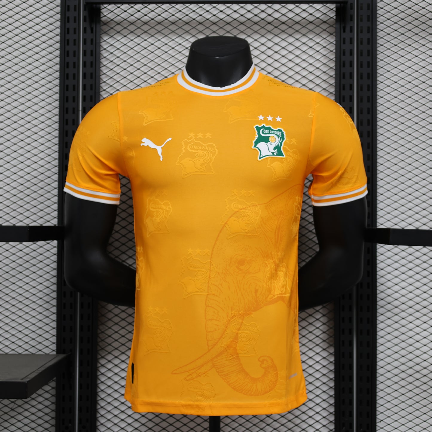 Ivory Coast 2026 Jersey