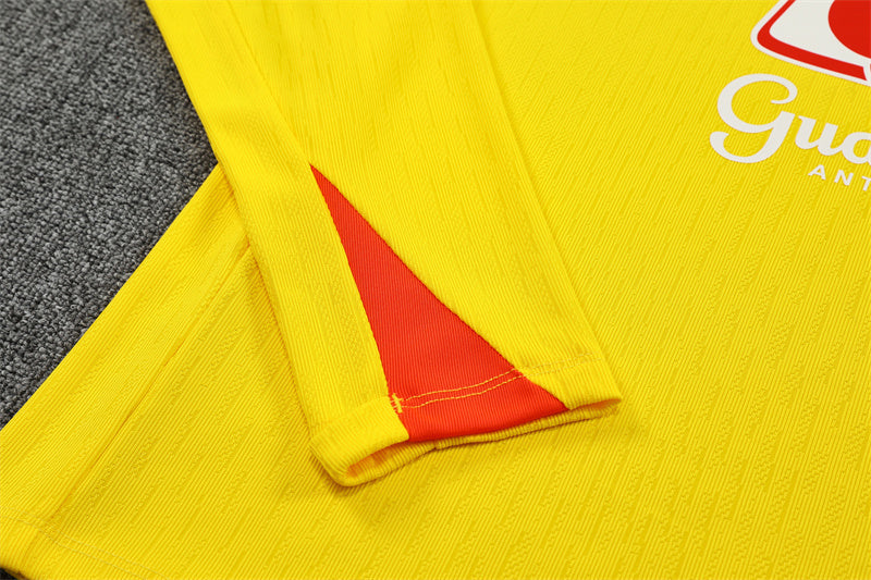Brazil 2025/2026 Training Suit