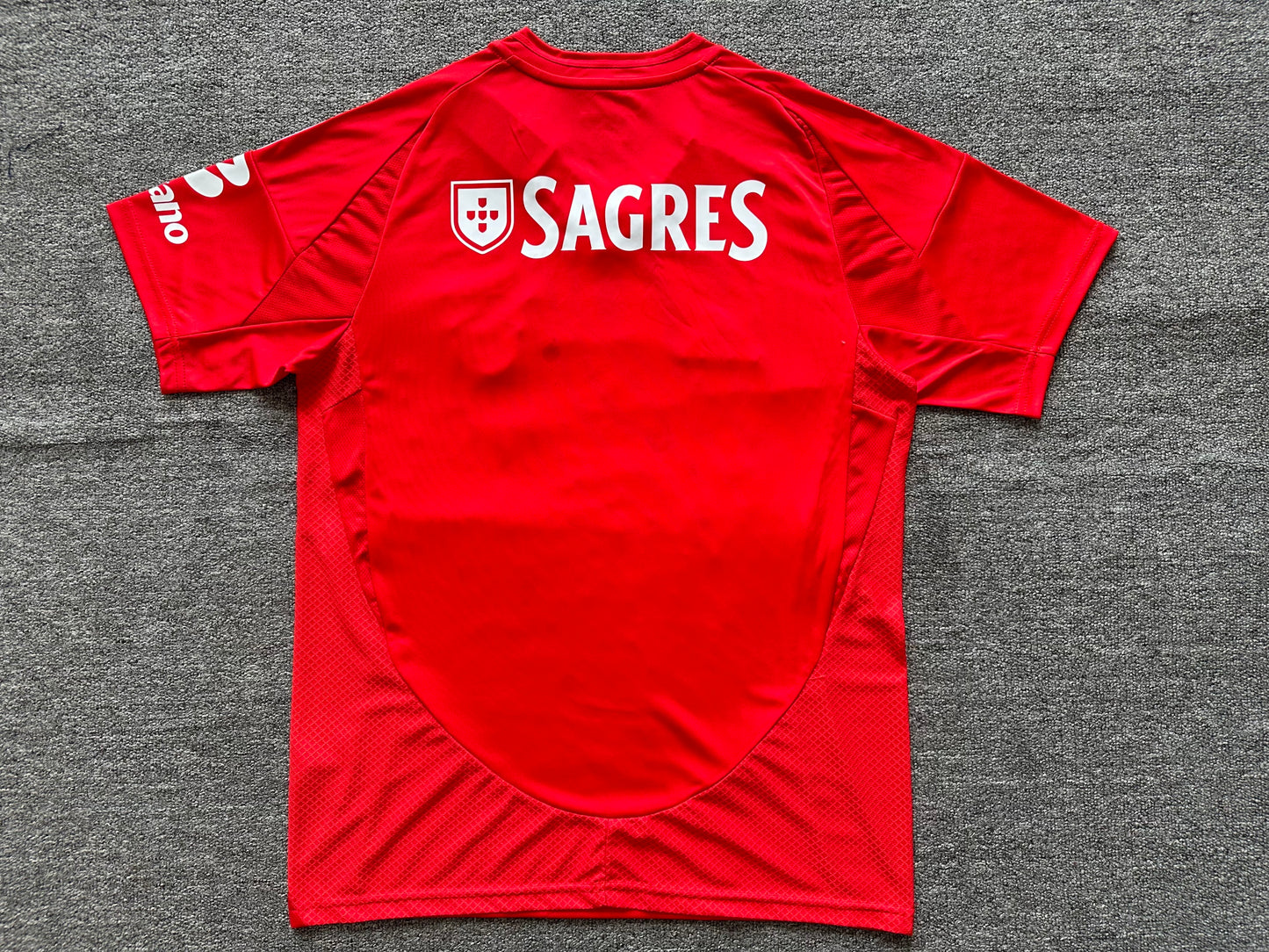 Benfica 2024/2025 Home Jersey
