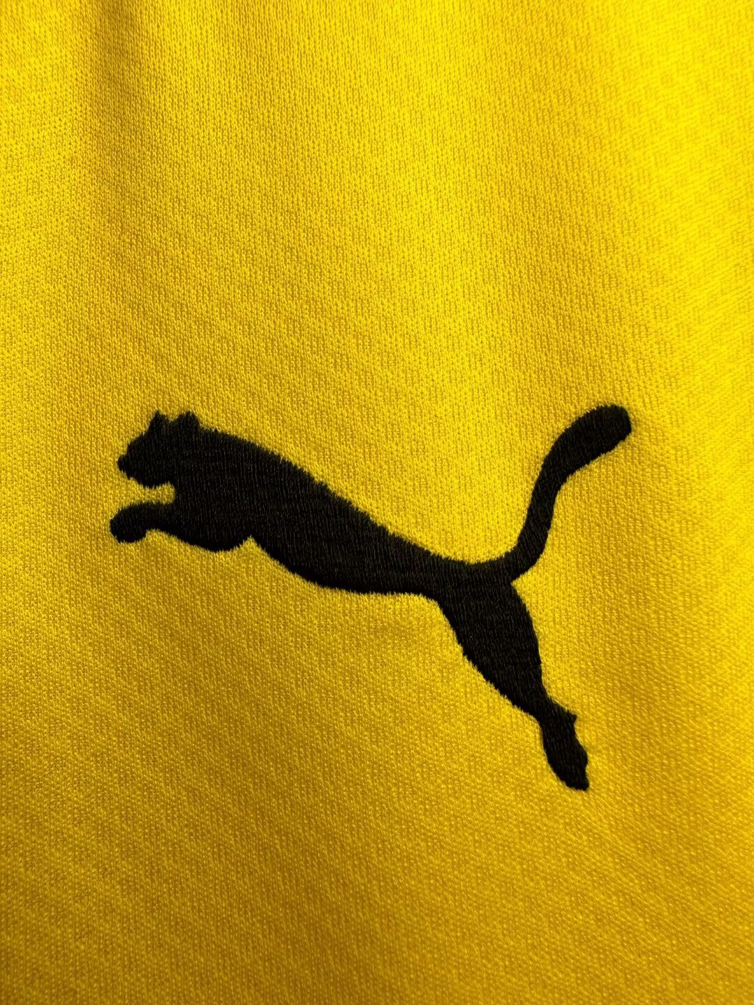 Dortmund 2019/2020 Home Jersey