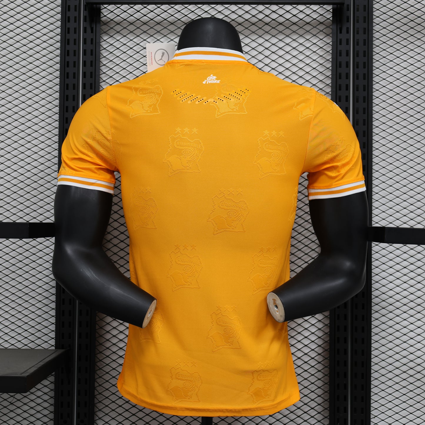 Ivory Coast 2026 Jersey