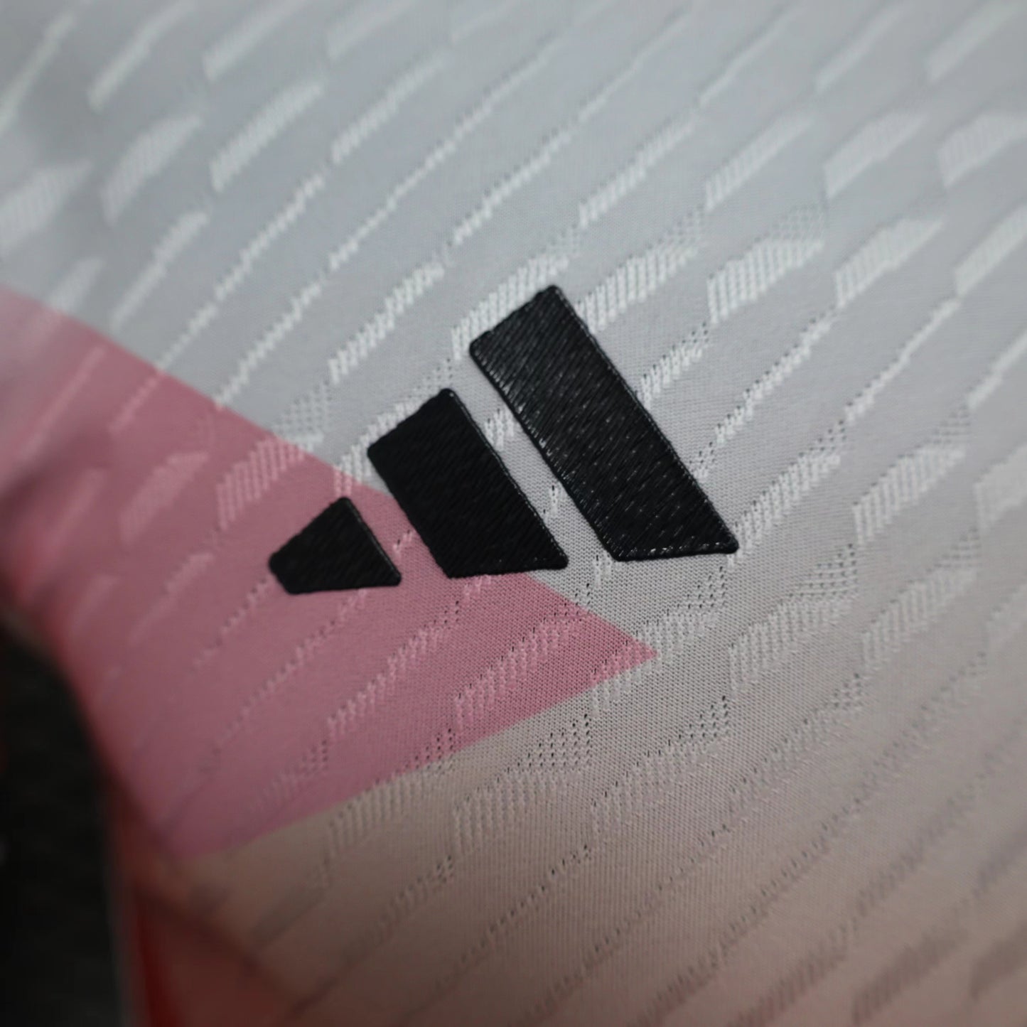 Japan 2024 Jersey