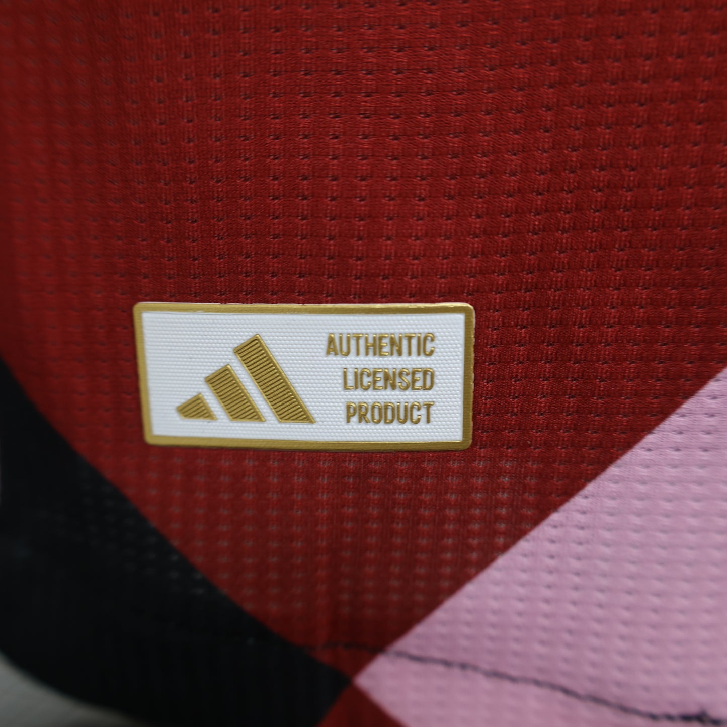 Bayern 2024/2025 Jersey