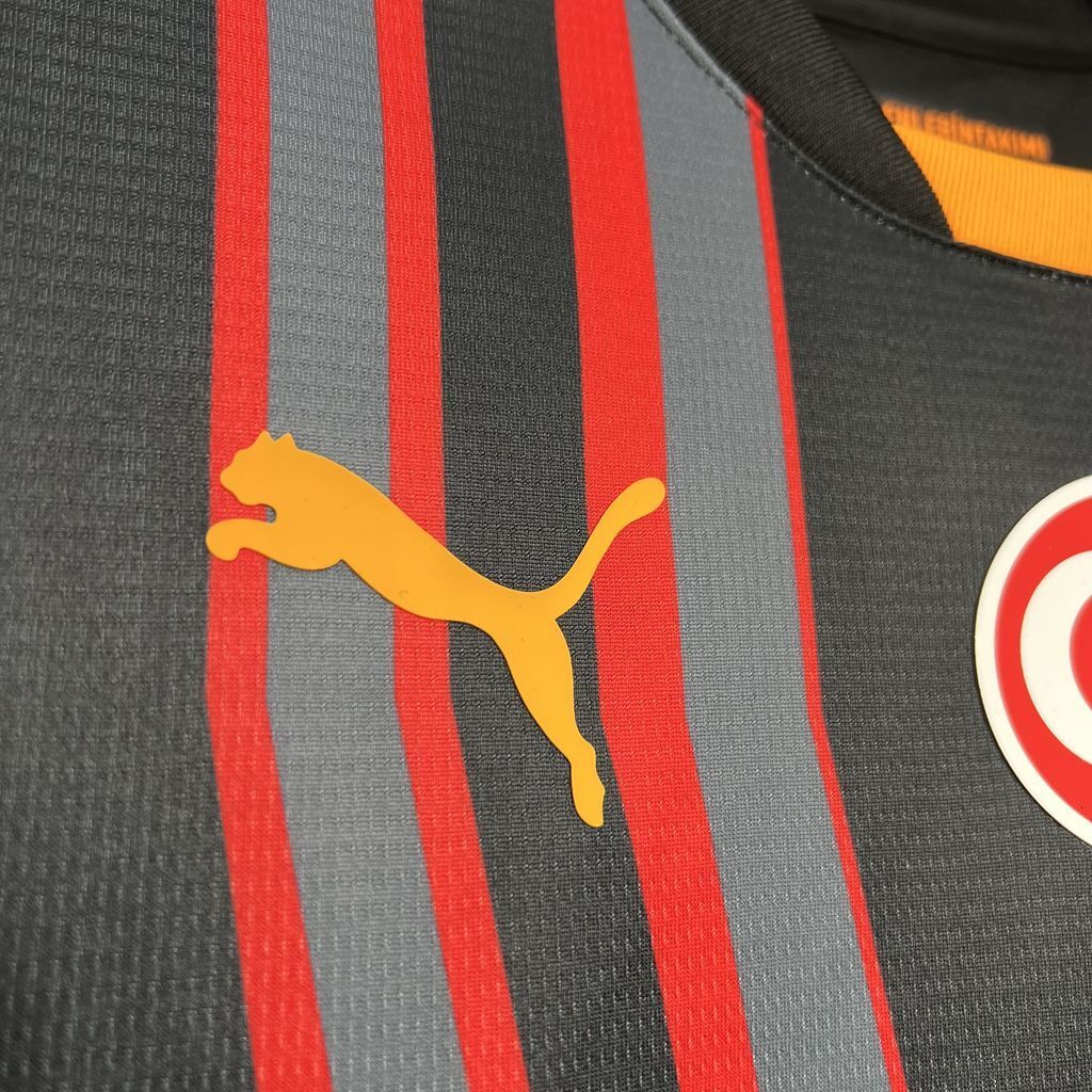 Galatasaray 2024/2025 Third Jersey