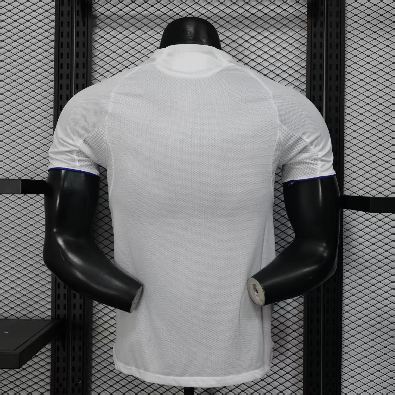 Lyon 2025/2026 Home Jersey