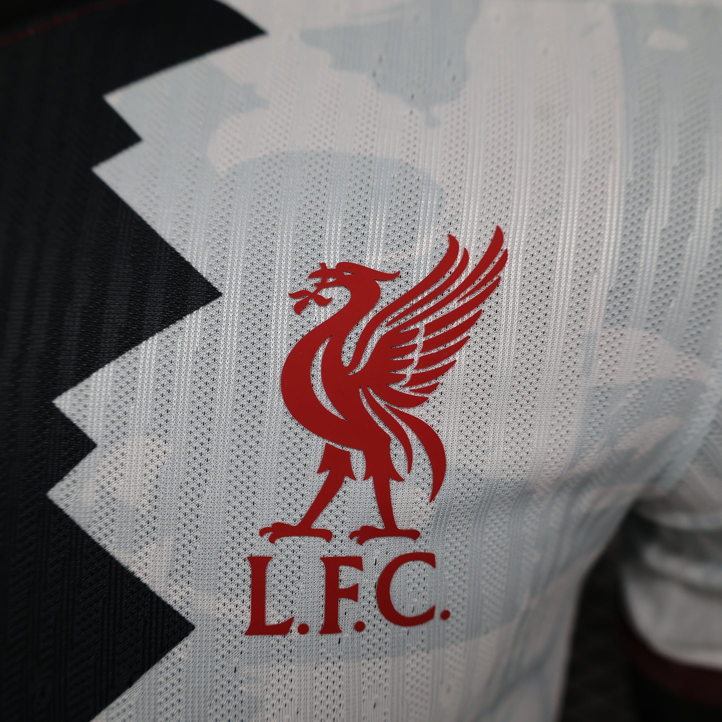 Liverpool 2024/2025 Jersey