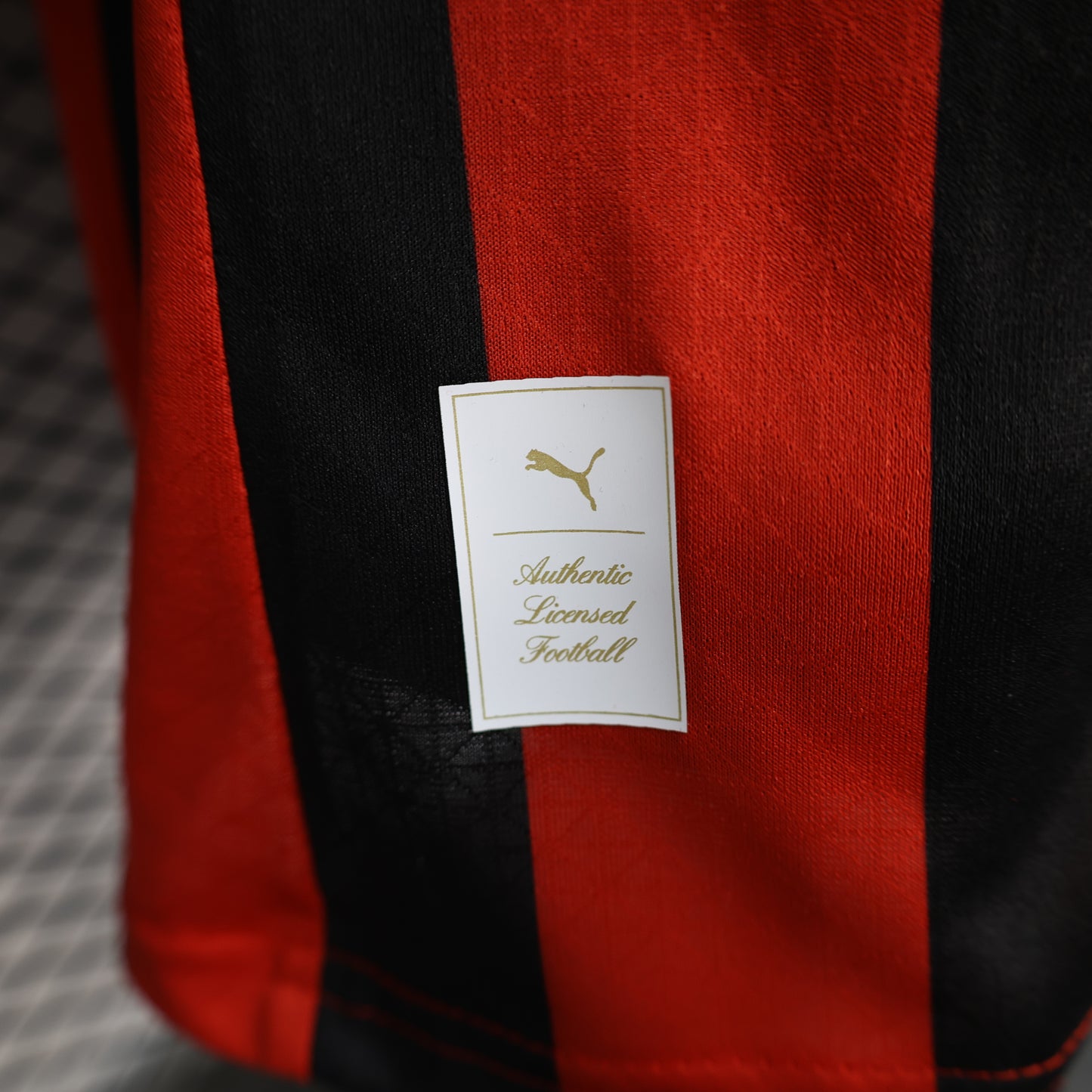 AC Milan 2024/2025 Jersey