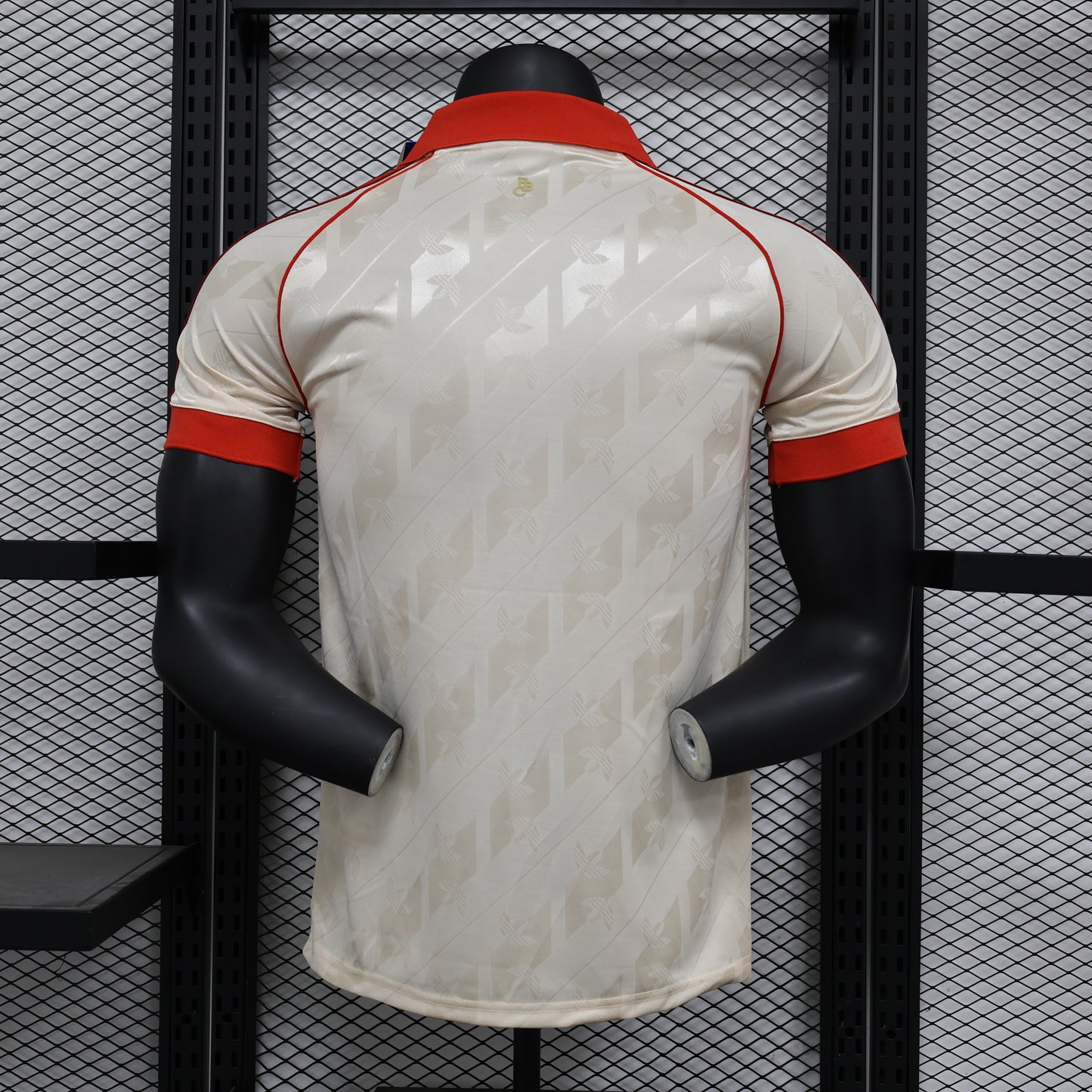 Bayern 2024/2025 Jersey
