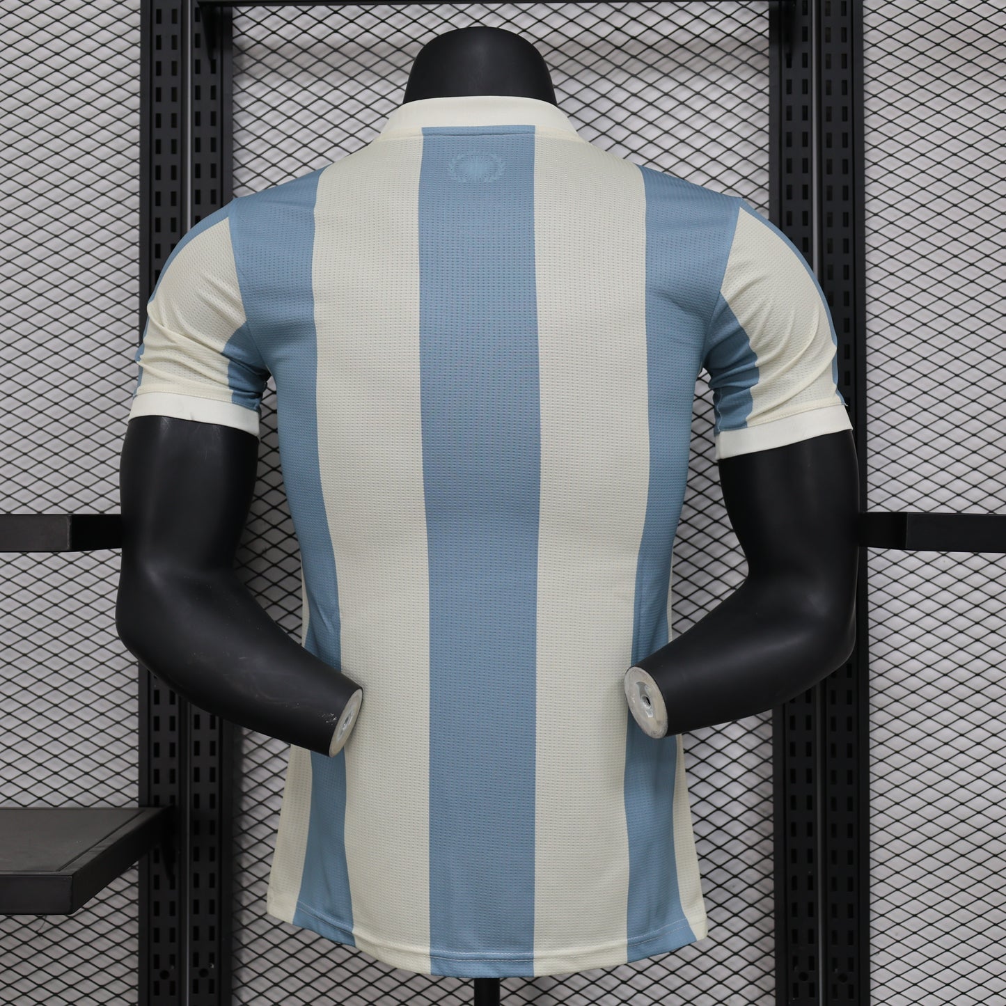 Argentina 2024 Jersey