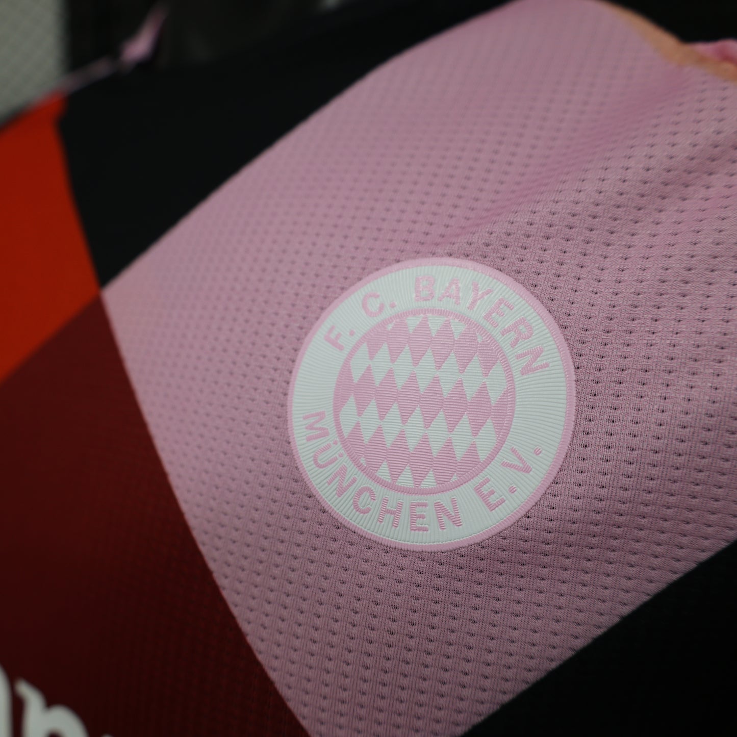 Bayern 2024/2025 Jersey
