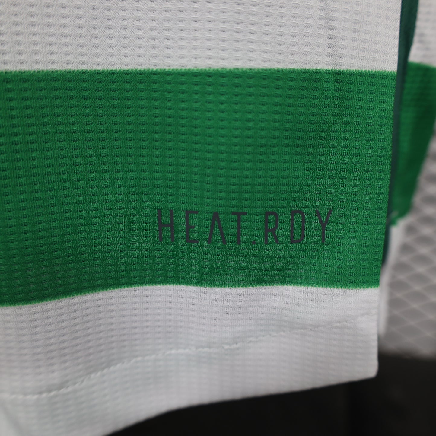 Celtic 2024/2025 Home Jersey
