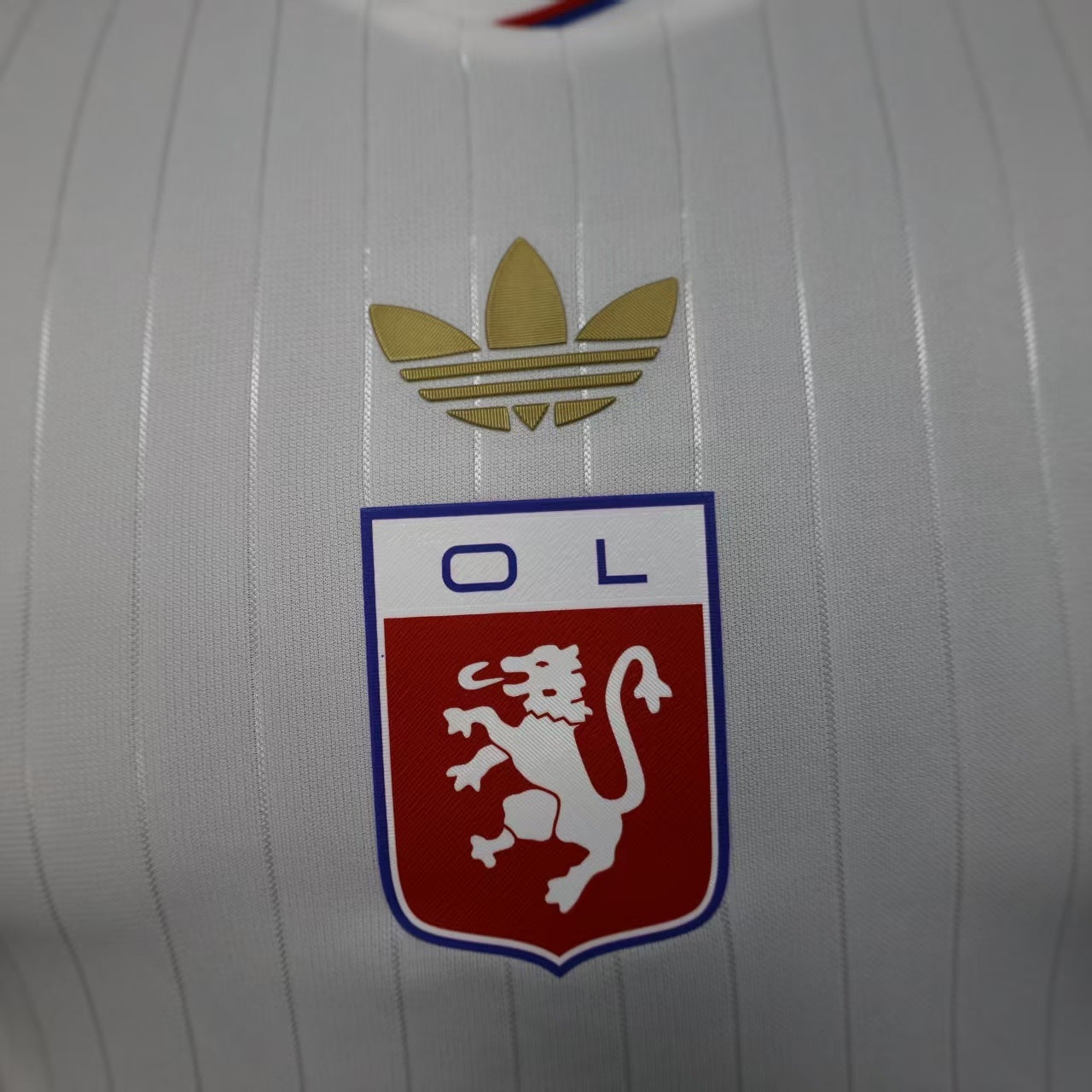 Lyon 2024/2025 Jersey