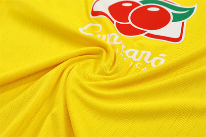 Brazil 2025/2026 Training Suit