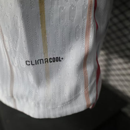 Japan 2026 Away Jersey