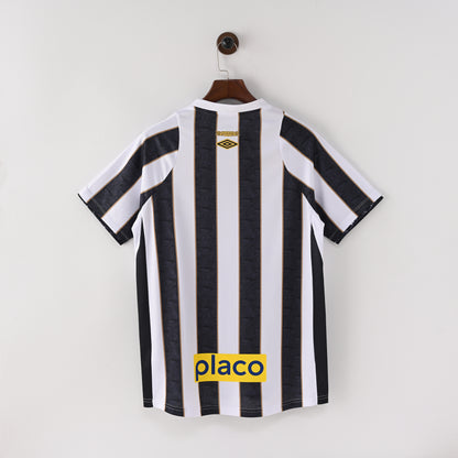 Santos 2024/2025 Away Jersey