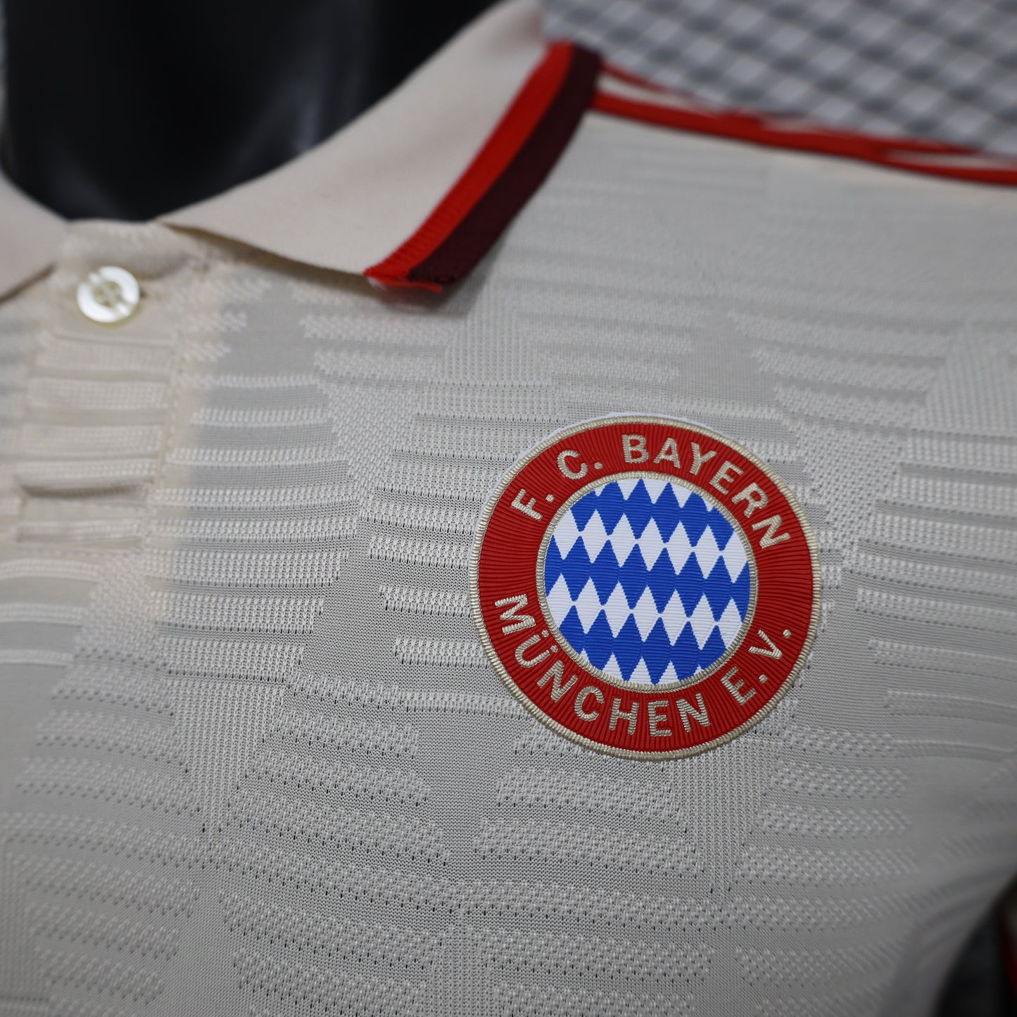 Bayern 2024/2025 Jersey