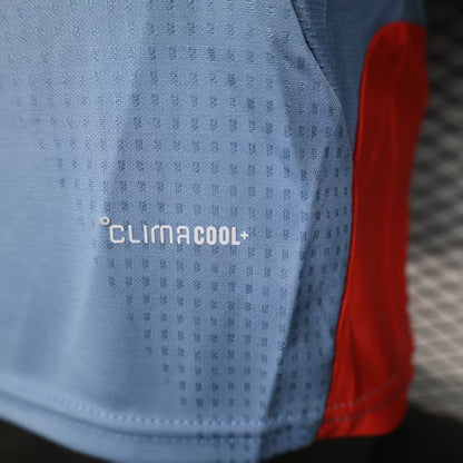 Japan 2026 Jersey