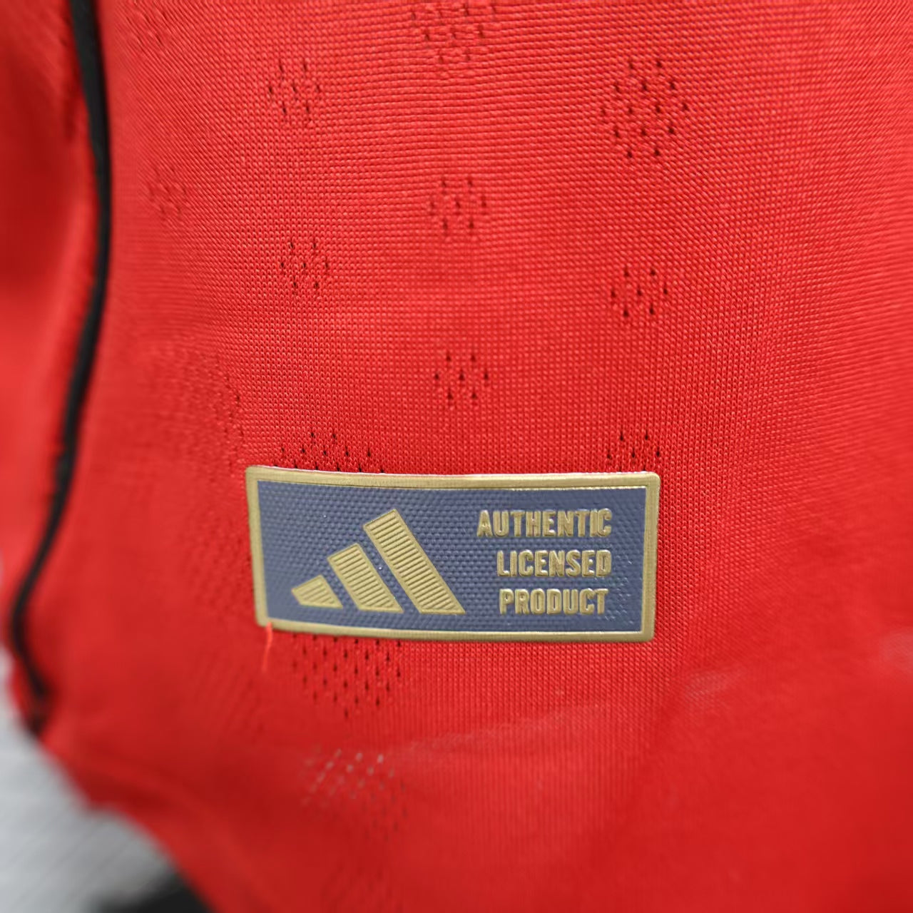 Manchester United 2025/2026 Home Jersey