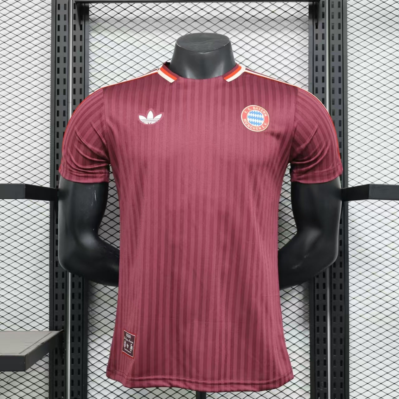 Bayern 2024/2025 Jersey