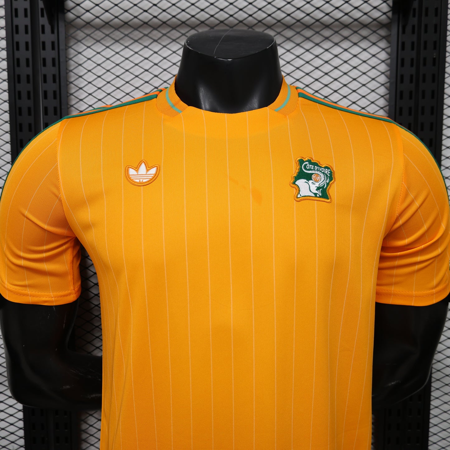 Ivory Coast 2026 Jersey
