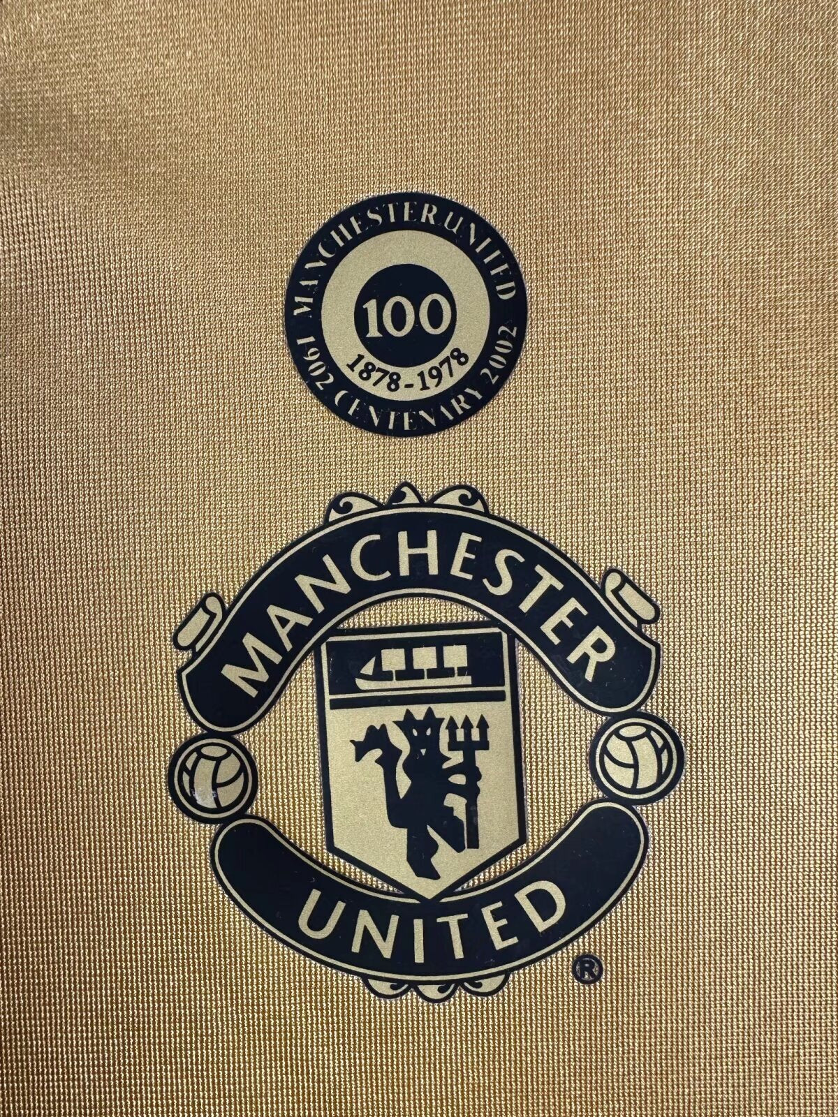 Manchester United 2001/2002 Third Jersey