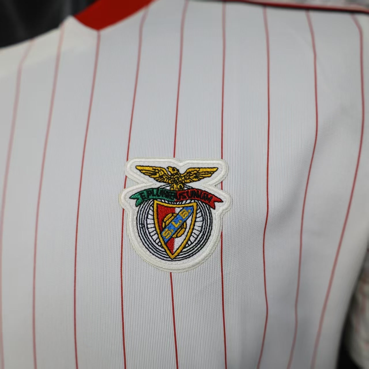 Benfica 2025/2026 Jersey