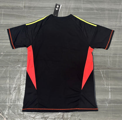 Argentina 2024 Jersey