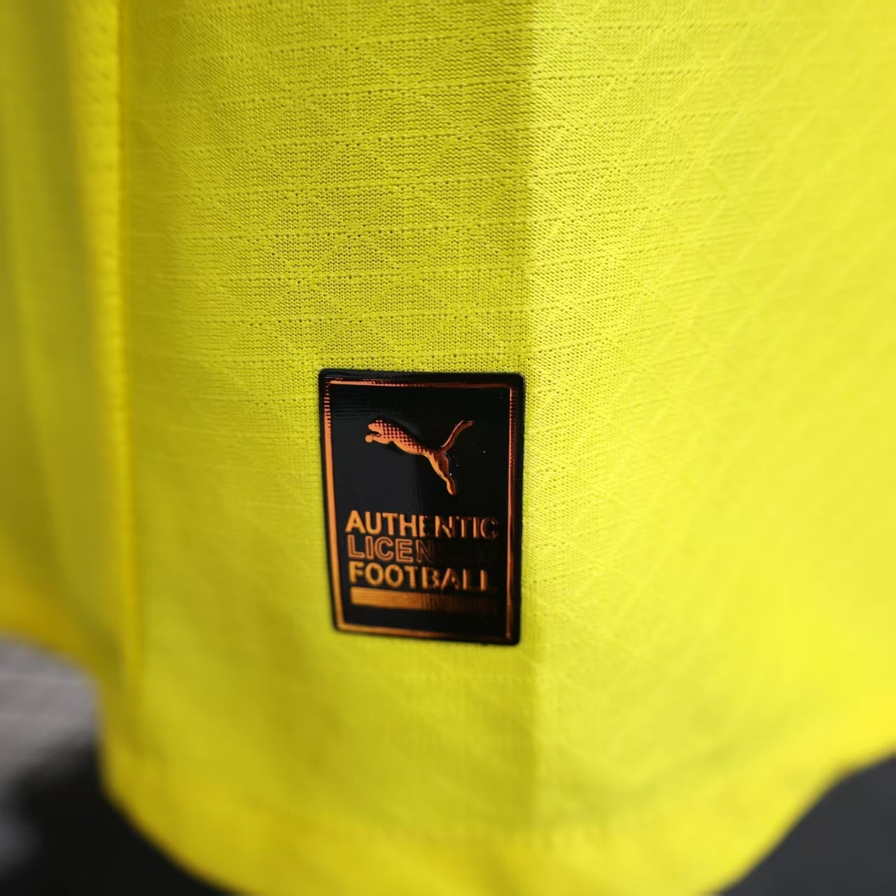 Dortmund 2025/2026 Home Jersey