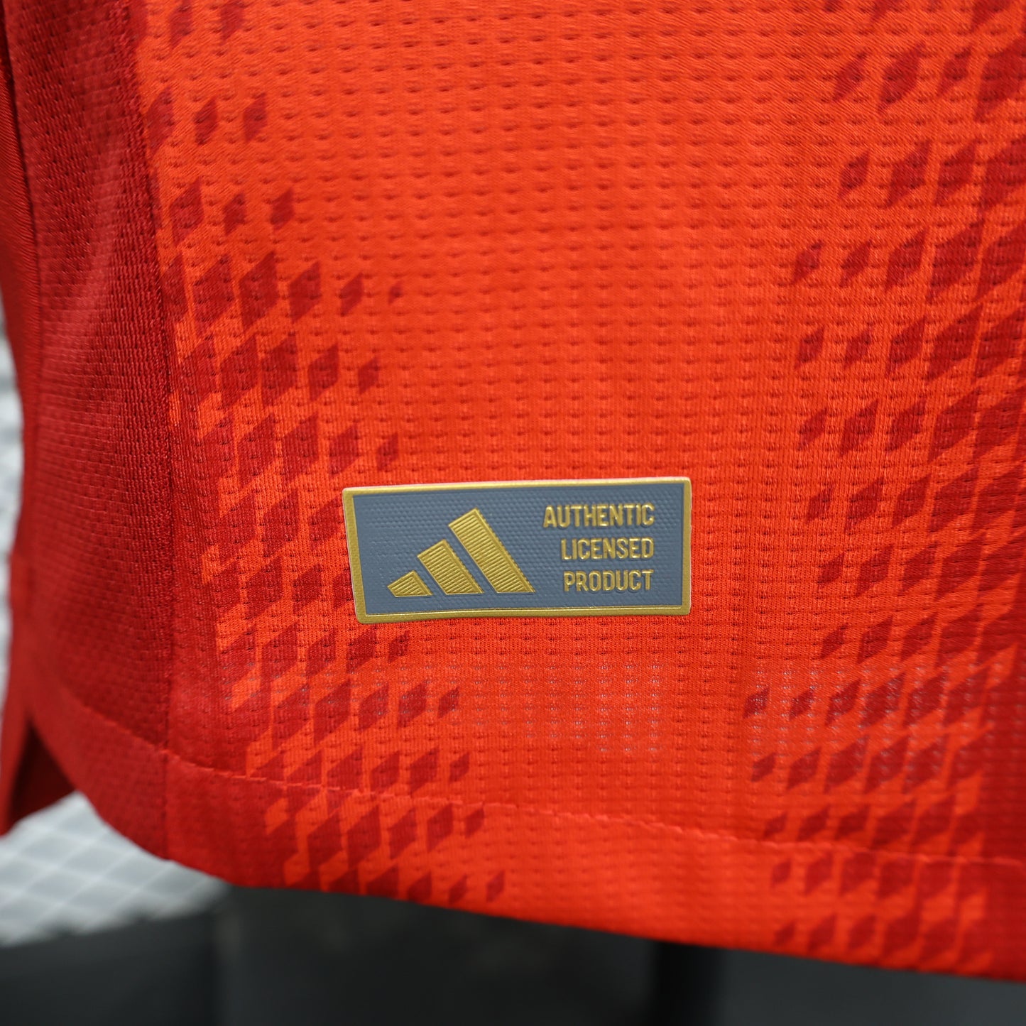 Bayern 2024/2025 Home Jersey