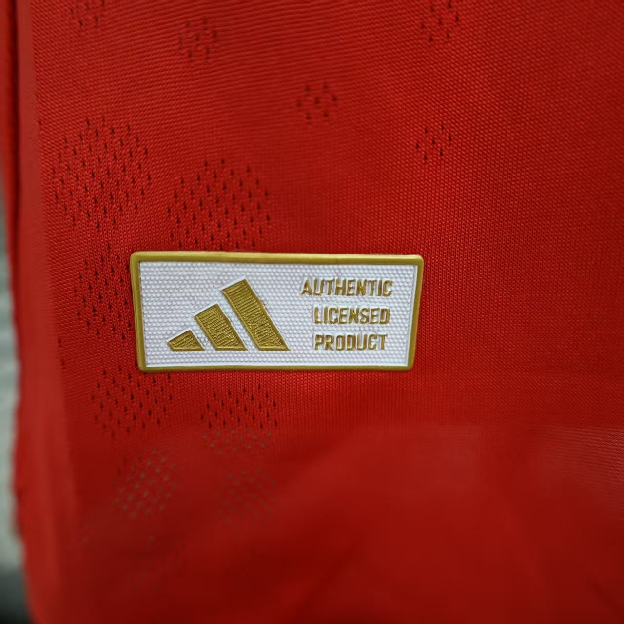 Benfica 2025/2026 Home Jersey